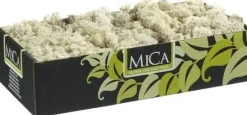 Mica Decorations Kerststukjes></noscript>Decoratie/Hobby Mos Naturel/Wit 500 Gram - Decoratie Materialen Bloemstukjes