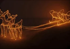 DecorativeLIghting Decorative Lighting 3D Rendieren Met Slee - 2 Meter Cheap