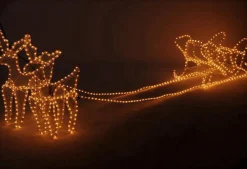 DecorativeLIghting Decorative Lighting 3D Rendieren Met Slee - 2 Meter Cheap