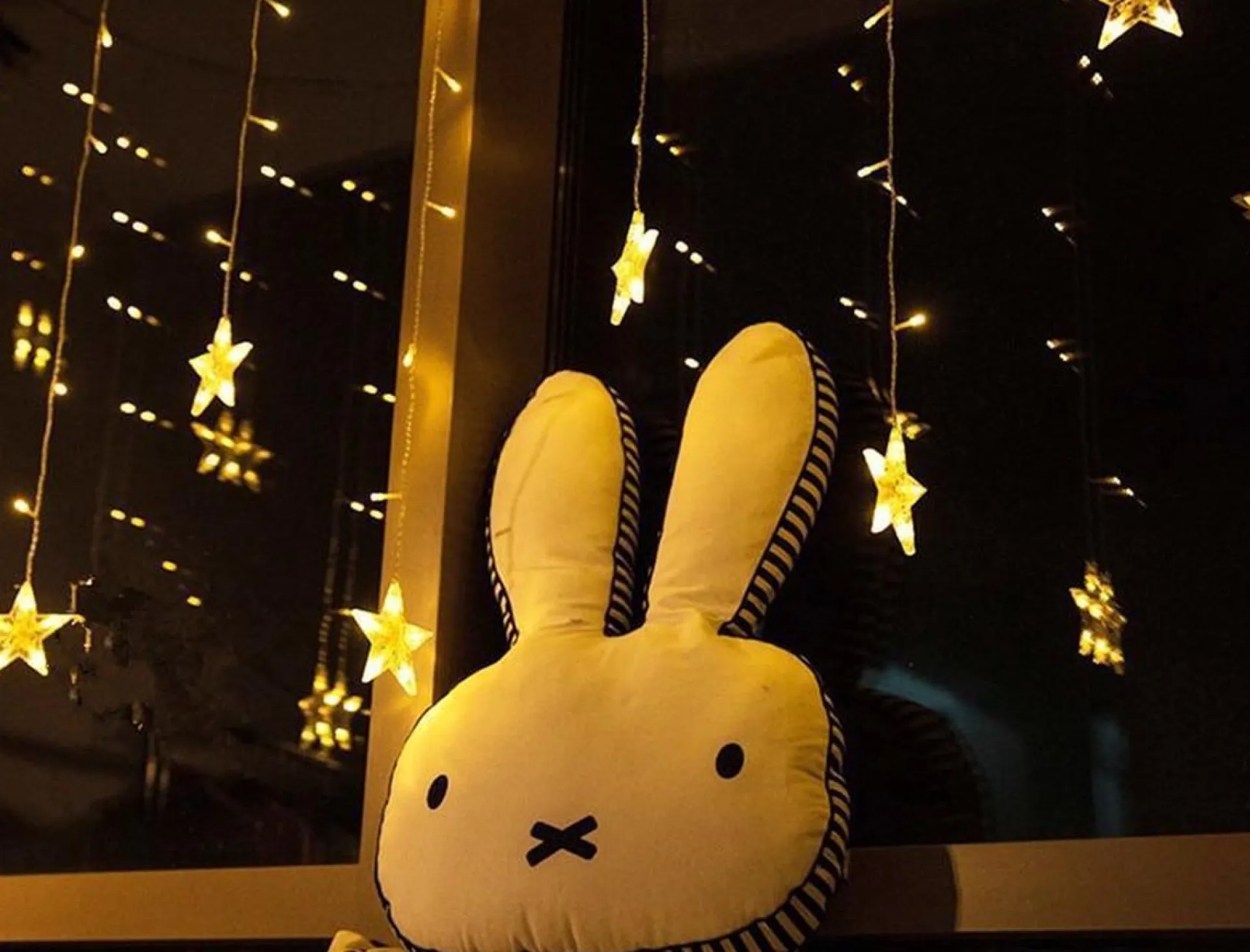 Dolami Sterrengordijn Kerstverlichting - 2,6 Meter 8 Lichteffecten - Voor Binnen En Buiten New