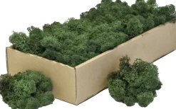 Ottou0027s Kerstaccessoires Kerststukjes>Doos Rendiermos Donkergroen (500 Gram) - Bloemstuk - Mosschilderij - Decoratie - Otto's Kerstaccessoires - Voordeelverpakking - Kerstdecoratie