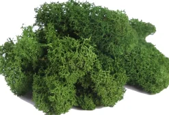 Ottou0027s Kerstaccessoires Kerststukjes>Doos Rendiermos Donkergroen (500 Gram) - Bloemstuk - Mosschilderij - Decoratie - Otto's Kerstaccessoires - Voordeelverpakking - Kerstdecoratie