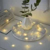 Merkloos Draad Verlichting - Zomerverlichting - Kerstverlichting - 80 Leds - Op Batterij - Zilverdraad - Lichtslang - 105Cm - Lichtsnoer - Indoor - Sfeerverlichting - Sale