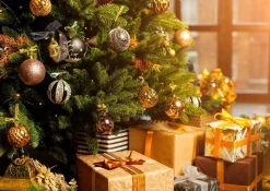 Tuincentrumgigant.nl Echte Kerstboom - Nordmann Excellent - Gezaagd Geen Kluit - 200-225Cm 225 Cm Online