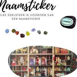Fop en Bij Edelstenen Adventskalender 2023 - A5 Formaat 3 - Kerstmis Cadeautje Voor Kinderen En Volwassenen - Vrouw En Vriendin Adventskalender A5 Variant 3 Best Sale
