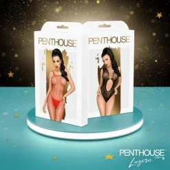 EIS Premium Erotische Adventskalender 2023 Voor Singles En Koppels, 24 Sensuele Luxe Sekscadeaus Incl. Satisfyer App Toy En Andere Satisfyer Toys, Erotische Verrassingen, Goederenwaarde 1000€ Hot