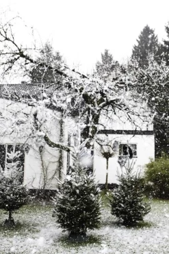 Elho Nordman 52 - Kerstboomstandaard Voor Binnen - O 52.0 X H 20.0 Cm - Groen/Groen Outlet