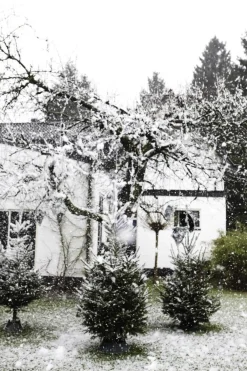 Elho Nordman 52 - Kerstboomstandaard Voor Binnen - O 52.0 X H 20.0 Cm - Groen/Groen Outlet