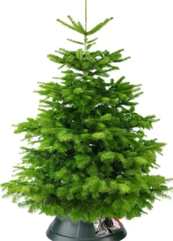 Elho Nordman 52 - Kerstboomstandaard Voor Binnen - O 52.0 X H 20.0 Cm - Groen/Groen Outlet