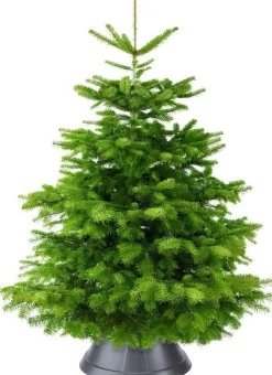 Elho Nordman 39 - Kerstboomstandaard Voor Binnen - O 39.2 X H 18.0 Cm - Zwart/Antraciet New