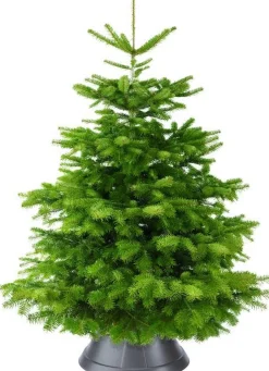 Elho Nordman 39 - Kerstboomstandaard Voor Binnen - O 39.2 X H 18.0 Cm - Zwart/Antraciet New