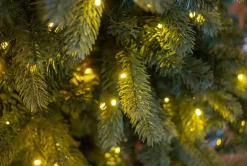 Evergreen - Kunstkerstboom - Pgtg60P3D95L03 Cheap