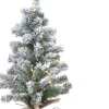 Everlands - Mini Kerstboom - Met Sneeuw - Met Verlichting - 75 Cm Shop