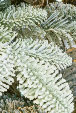 Excellent Trees ® Otta Kerstboom Met Sneeuw 180 Cm - Luxe Uitvoering New