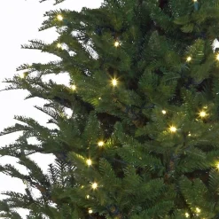 Black Box Frasier Fir Led - Groen - Blackbox Kunstkerstboom 155 Cm Shop