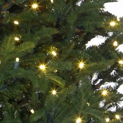 Black Box Frasier Fir Led - Groen - Blackbox Kunstkerstboom 155 Cm Shop