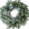Van der gucht Kerstkransen>Frosted Mulberry Wreath Kerstkrans D61Cm 50Led Lampjes