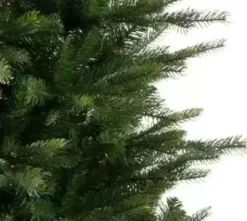 Merkloos Grandis Slim Fir 1778Tips Green Discount