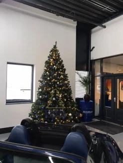 Royal Christmas Grote Kunstkerstboom Utah Pvc - Lengte 300 Cm - Met Warm Led Verlichting 800 Lampjes - 3500 Takken Online