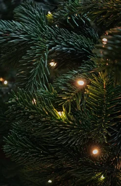 Grundig Kerstverlichting - 20 Led Lampjes - 302 Cm- 3.2 Meter - Warm Wit - 220V Outlet