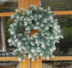 Trend24 Guirlandes><noscript><img width=