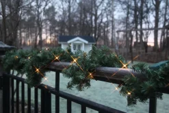 Star Trading Guirlandes><noscript><img width=