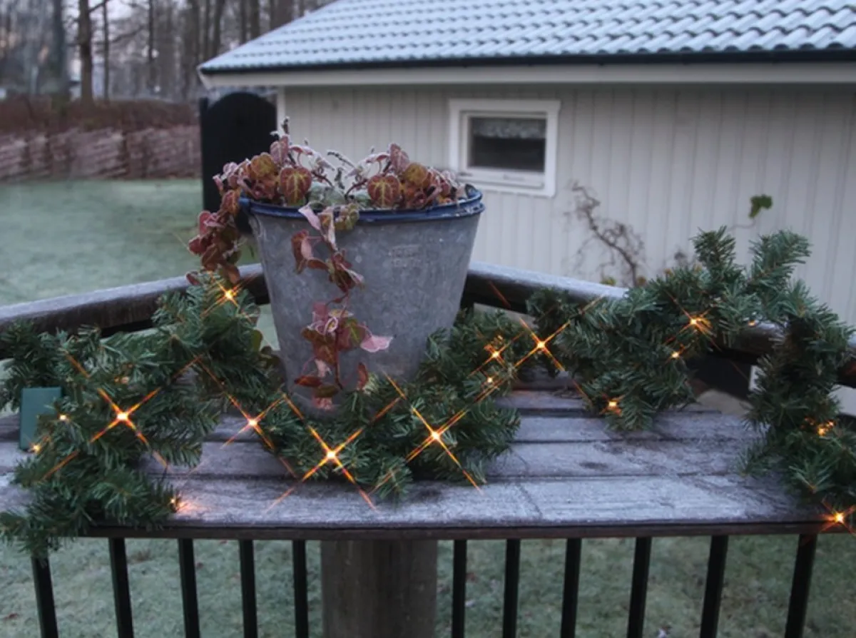 Star Trading Guirlandes>Guirlande "Canadees" 250Cm - 30 Leds