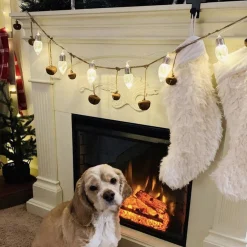 Handy Century Home Products Handy Century Led Kerstverlichting - Versiering - Warm - Gezellig - 3M Shop