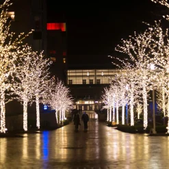 In Round Kerstverlichting Voor Binnen En Buiten – 240 Led Lampjes Flash Sale