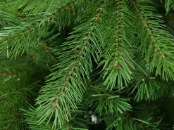 intergard Kunstkerstboom Topkwaliteit Kerstboom - 210Cm (2 Jaar Garantie) Flash Sale