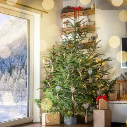 KADAX Kerstboomstandaard, Kerstboomstandaard Van Gerecyclede Kunststof, Dennenboomstandaard Voor Een Echte Boom, Standaard Voor Een Kerstboom (Boomhoogte Tot 250 Cm/Grafiet) Hot