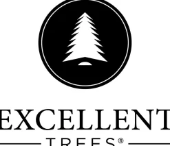 Excellent Trees Kerstboom ® Led Stavanger Black 180 Cm Met Verlichting - Nu Met Gratis Opbergtas T.W.V. € 24.95 Fashion