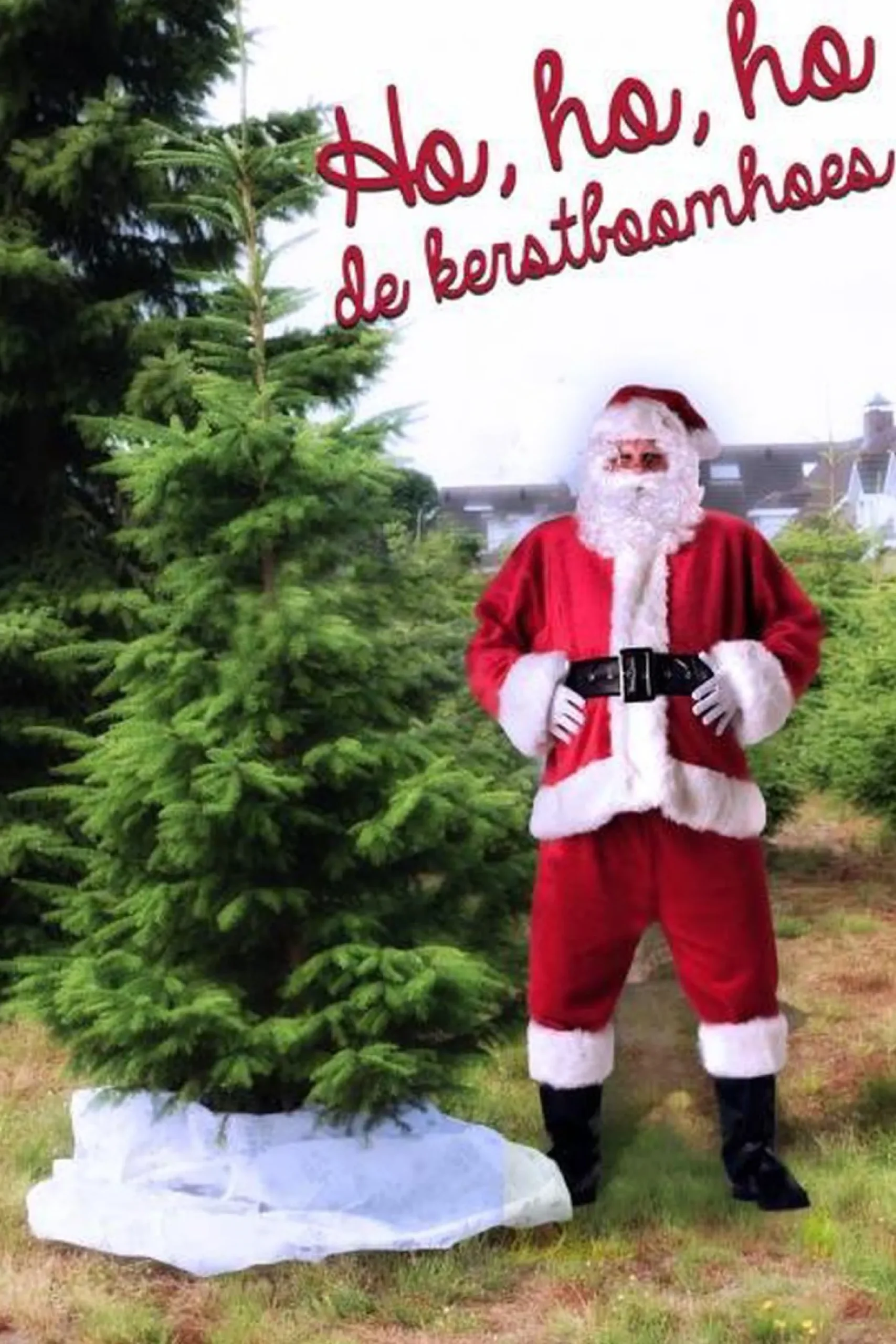 Dutch Flower Lady Kerstboomhoes Wit-Zilvergrijs New