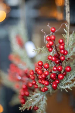 Merkloos Kerstkransen><noscript><img width=