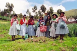 Titicaca Kerststallen>Kerststal Vingerpopjes
