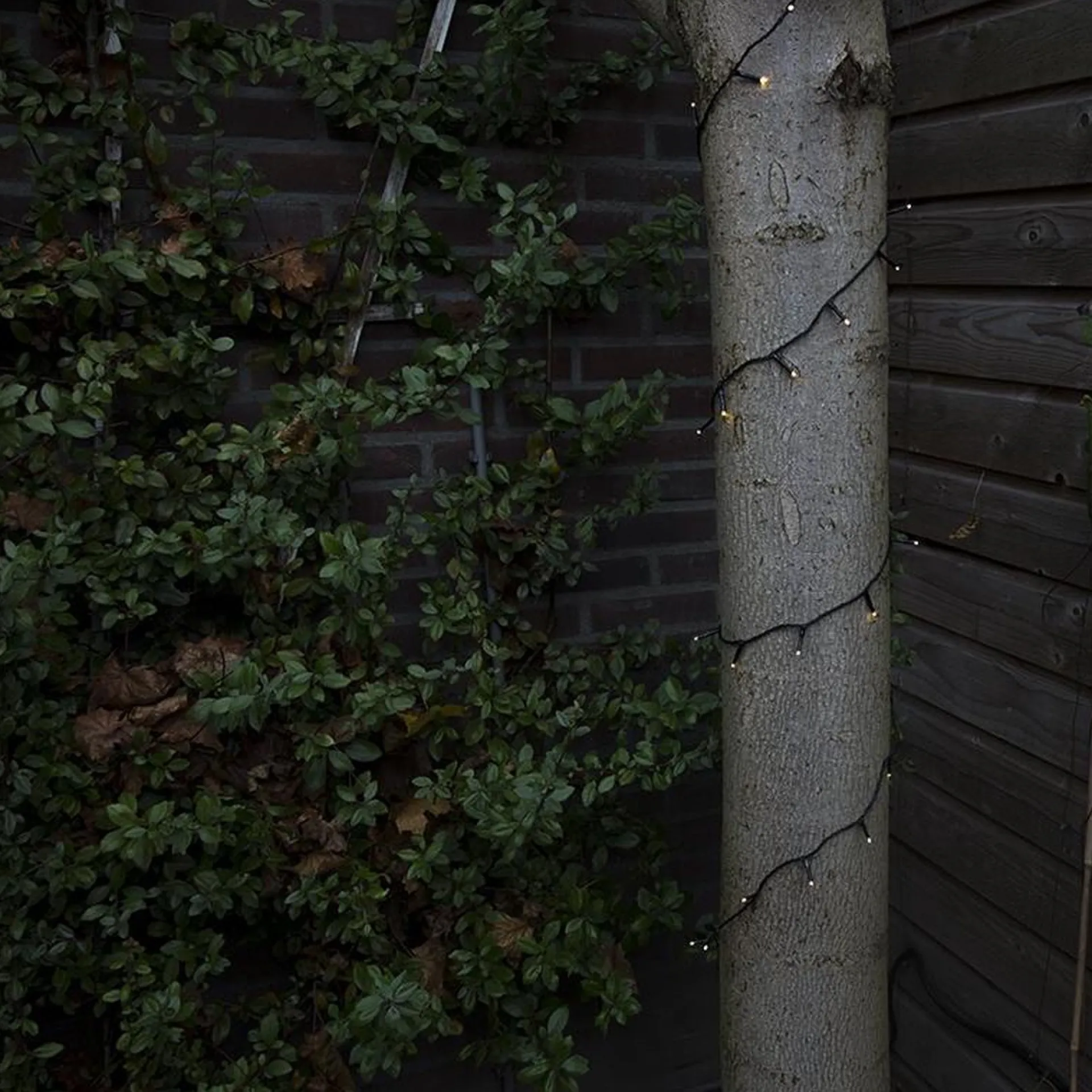 Lumineo Kerstverlichting Warm Wit Buiten 360 Lampjes - Boomverlichting Online