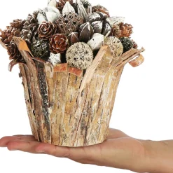 * Kerststukjes><noscript><img width=