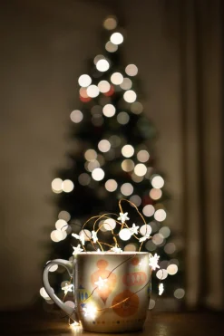 Anna's Collection Koperdraad Draadverlichting Sterren Met Timer Wit 2 Meter - Sfeerverlichting Voor Binnen Gebruik Hot