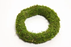 Asia Kerstkransen>Krans Mos O 25 Cm | Herfst/ Winter Decoratie | Kerststukje