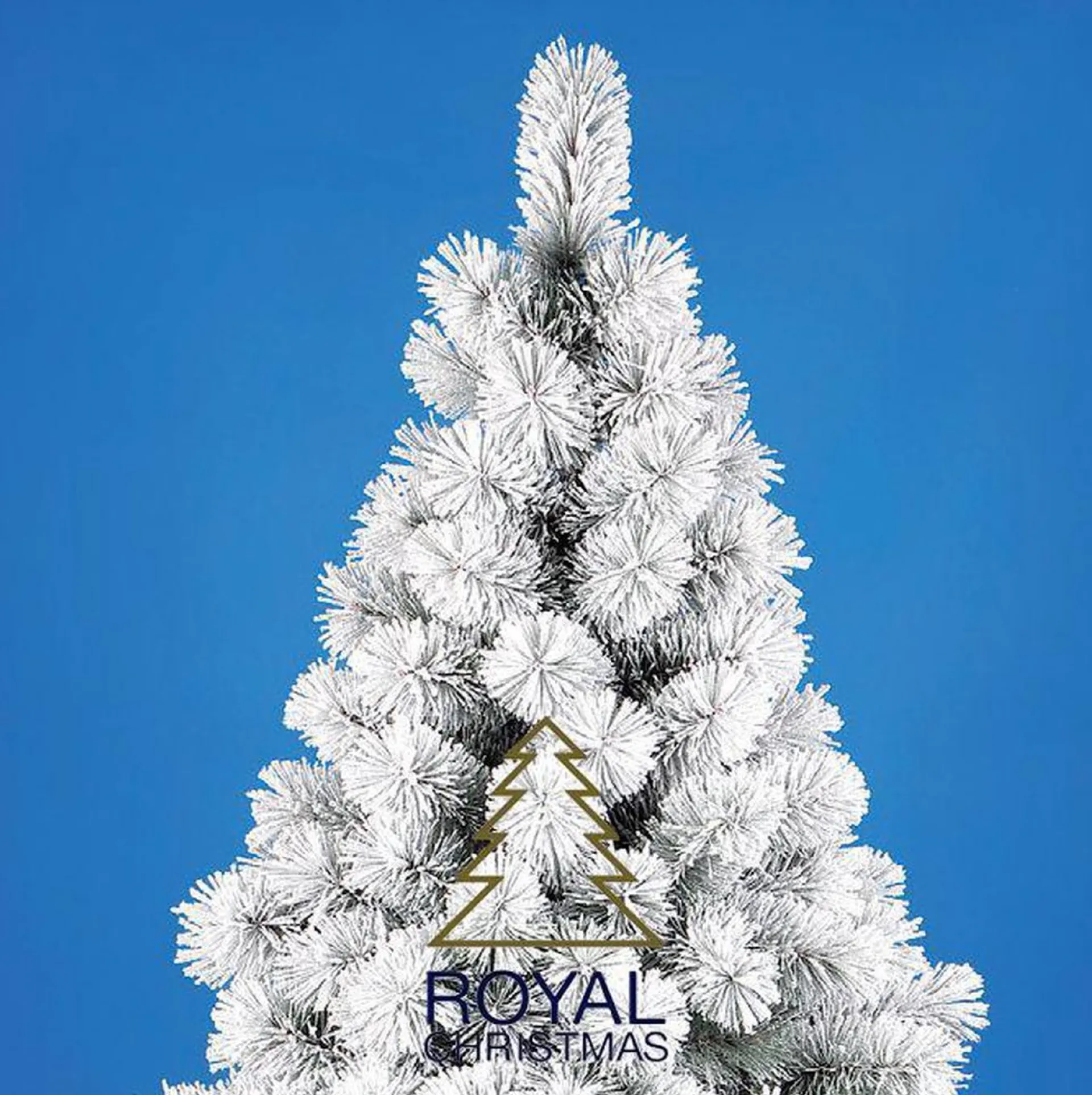 Royal Christmas Kunst Kerstboom Chicago Pp Met Sneeuw / Flock - Lengte 180 Cm - 312 Takken Cheap