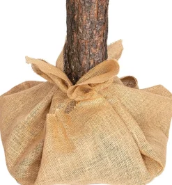 Viking Choice Kunstkerstboom 160 Cm - Spar Met Houten Stam Best Sale