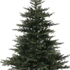 Merkloos Kunstkerstboom Grandis Fir Hinged Tree Dia 182 Cm Hoogte 300 Cm Shop