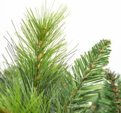 King Tree Kunstkerstboom '' - Zonder Verlichting - 114 Cm - 180 Cm Store