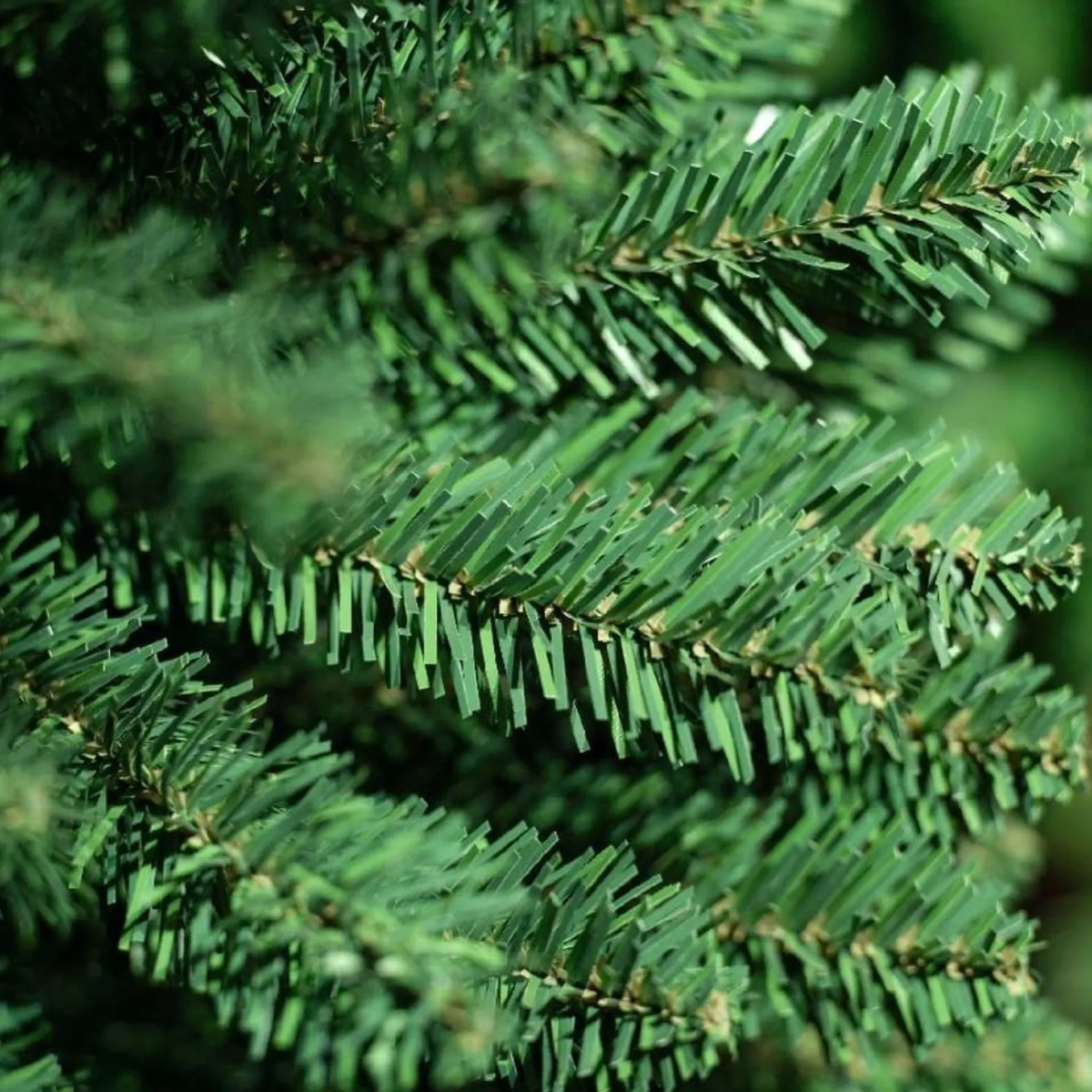 Everlands Kunstkerstboom Pencil - 210 Cm Hoog - Zonder Verlichting New