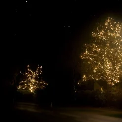 Solistech Led Kerstverlichting Buiten - 90M - Verlengbaar (T/M 120M) - 900 Lichtpuntjes - Ip44 Waterbestendig - Warmwit 2700K - Donkergroene Kabel - Kerst Verlichting Voor Binnen En Buiten - Zeer Energiezuinig 10,8W Sale