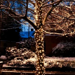 Solistech Led Kerstverlichting Buiten - 90M - Verlengbaar (T/M 120M) - 900 Lichtpuntjes - Ip44 Waterbestendig - Warmwit 2700K - Donkergroene Kabel - Kerst Verlichting Voor Binnen En Buiten - Zeer Energiezuinig 10,8W Sale