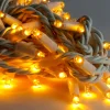 Solistech Led Kerstverlichting Eter Koppelbaar - 50 Lichtpuntjes - Ip65 Waterdicht - Warm Wit 2700K - Hoogwaardige Rubberen Kabel - Energiezuinig 3W - Incl. Stekker 5 M Best