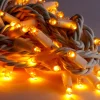 Solistech Led Kerstverlichting Eter Koppelbaar - 500 Lichtpuntjes - Ip65 Waterdicht - Extra Warm Wit 2200K - Hoogwaardige Rubberen Kabel - Energiezuinig 30W - Incl. Stekker 50 M Discount