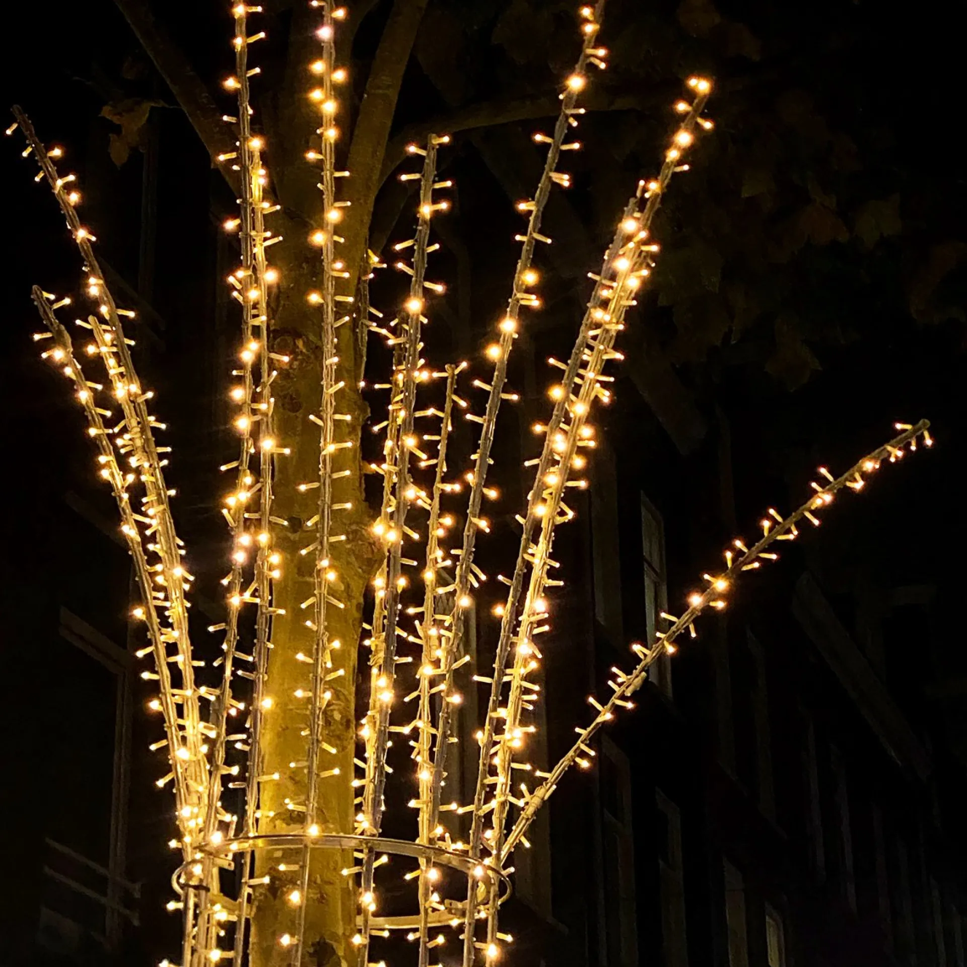 Solistech Led Kerstverlichting Eter Koppelbaar - 500 Lichtpuntjes - Ip65 Waterdicht - Extra Warm Wit 2200K - Hoogwaardige Rubberen Kabel - Energiezuinig 30W - Incl. Stekker 50 M Discount