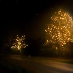 Solistech Led Kerstverlichting Eter Koppelbaar - 50 Lichtpuntjes - Ip65 Waterdicht - Extra Warm Wit 2200K - Hoogwaardige Rubberen Kabel - Energiezuinig 3W - Incl. Stekker 5 M Sale